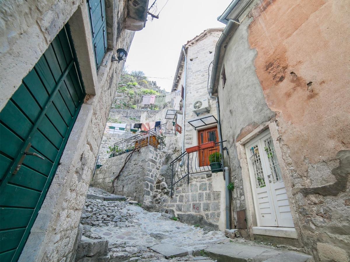Apartment Alexandra Kotor Ngoại thất bức ảnh